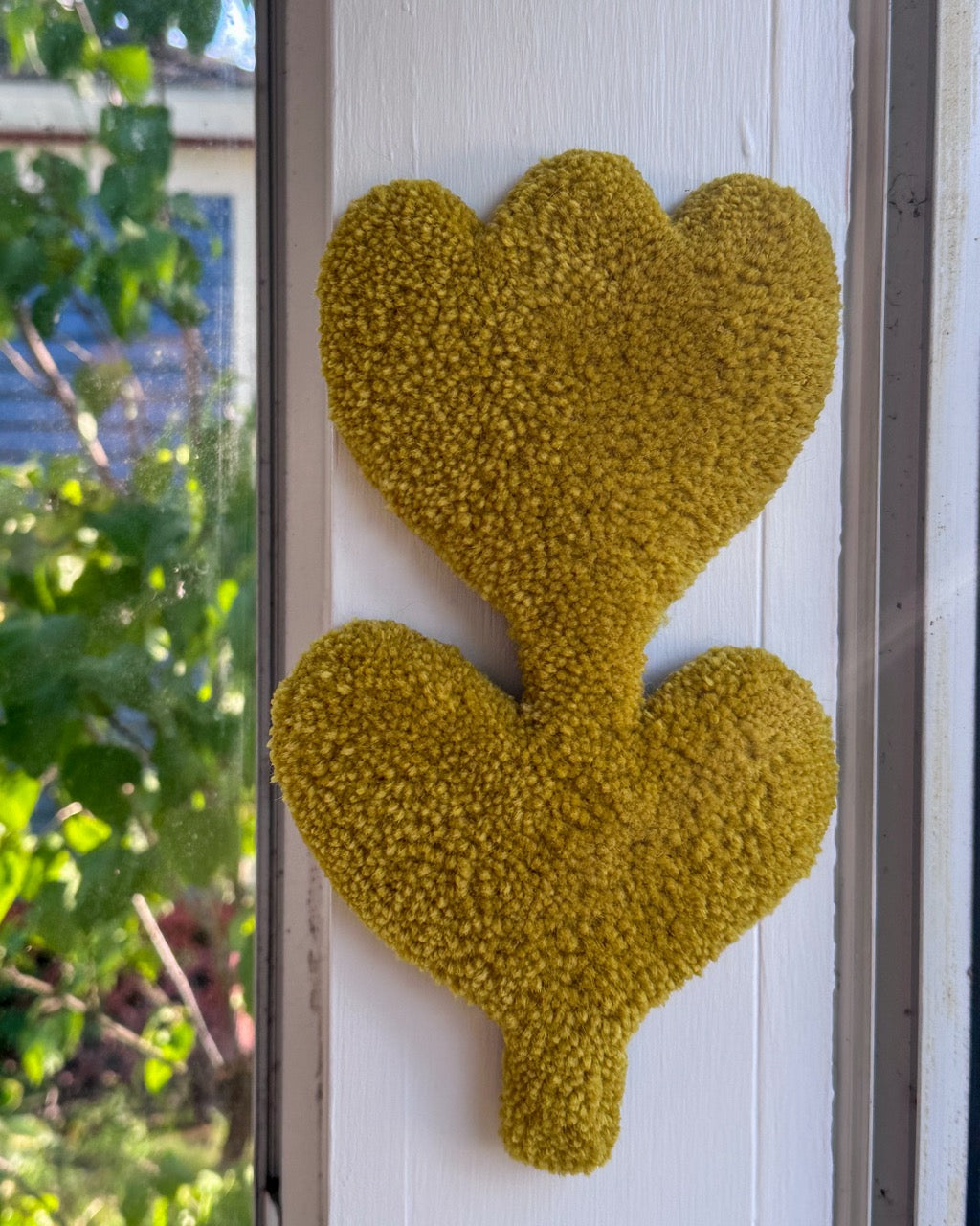 Tufted Tulips