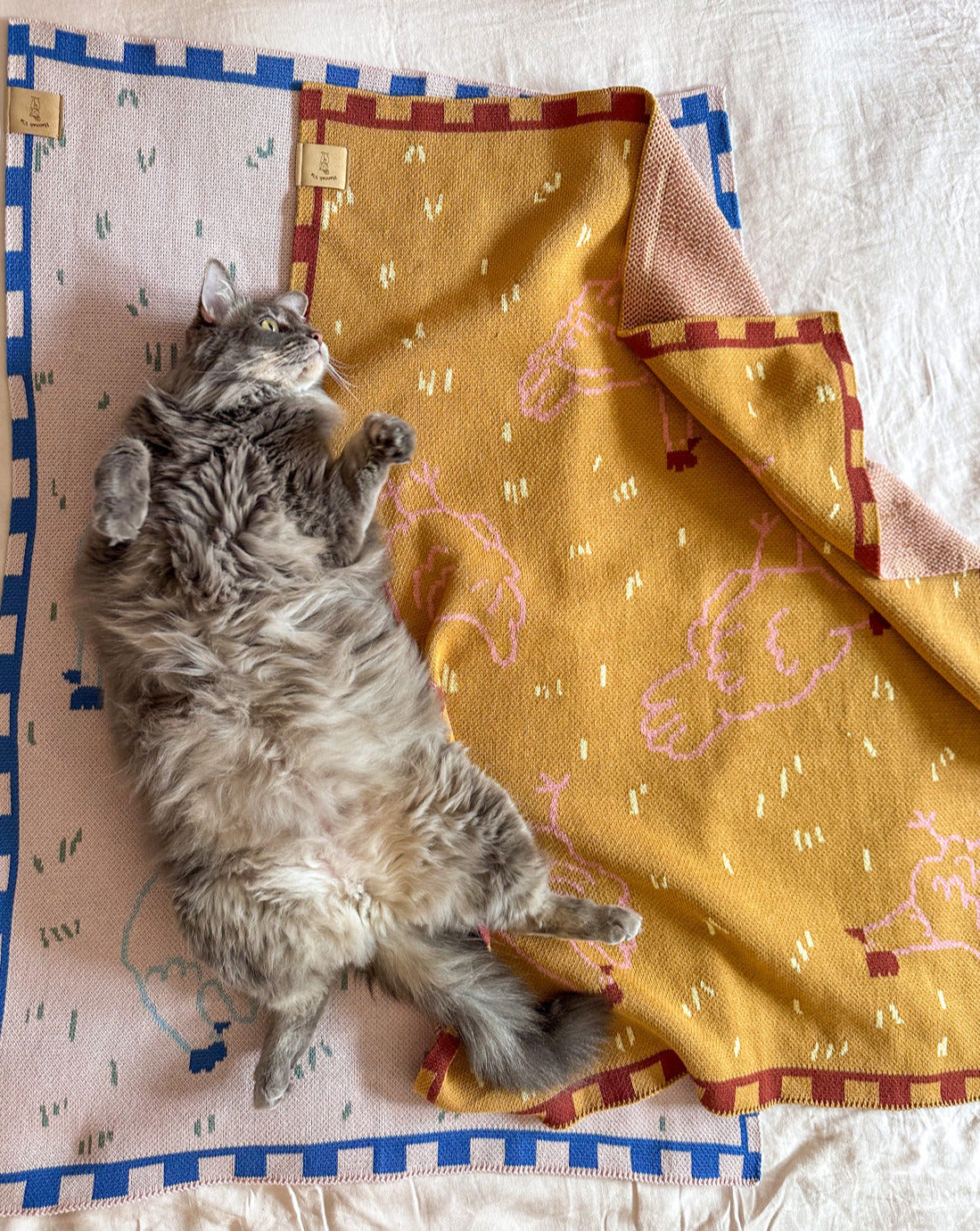 Field of Hens Knit Blanket *PRE-ORDER*