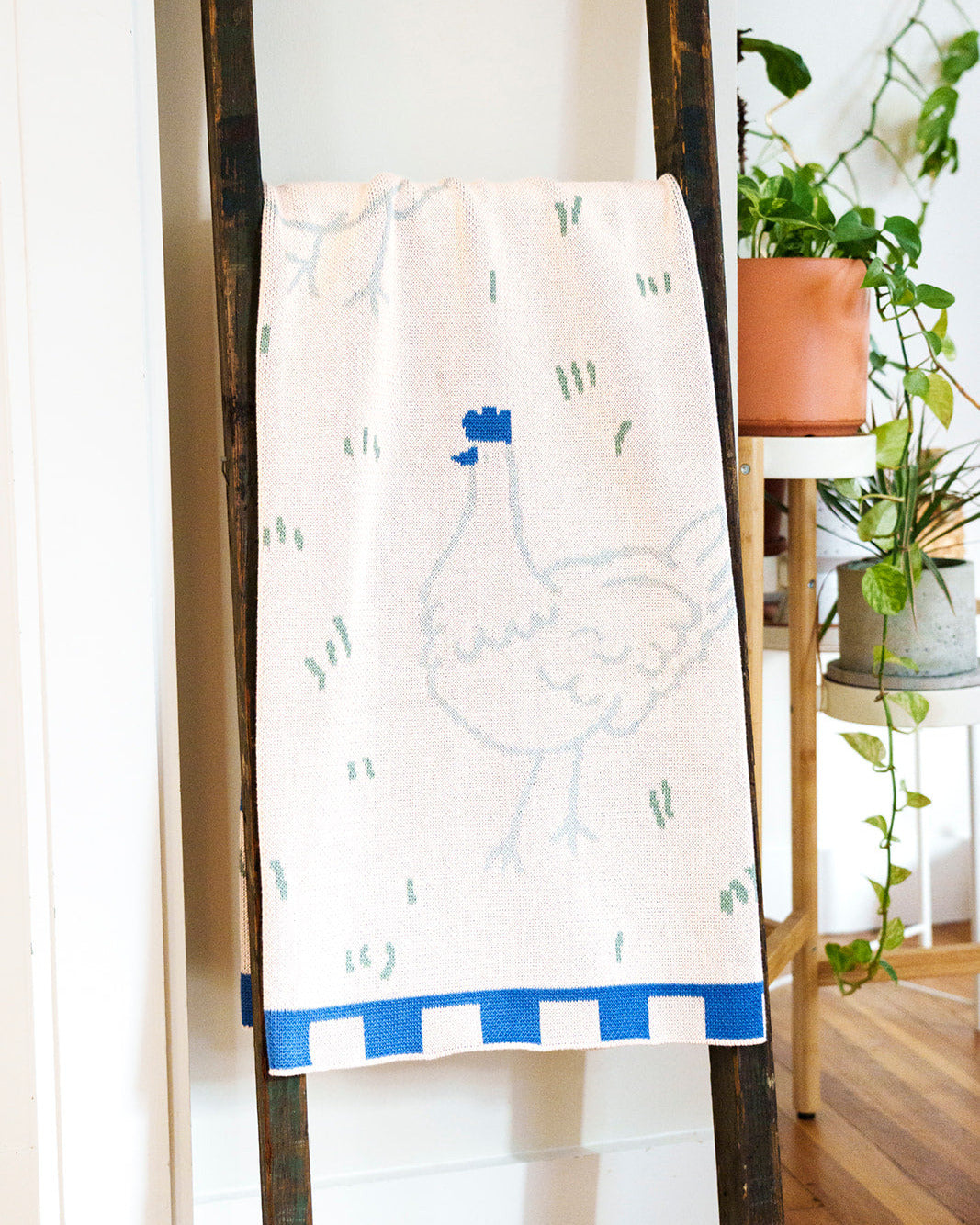 Pink & Blue Field of Hens Knit Blanket