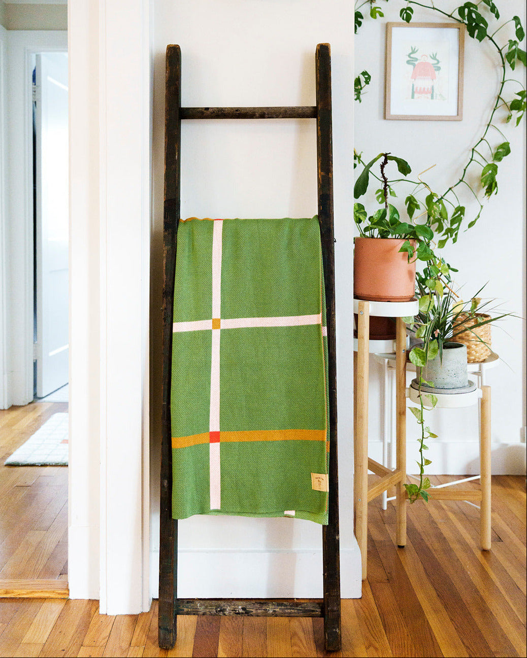 Green plaid blanket on a wooden ladder against a white wall with plants in the background.